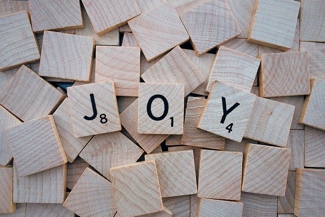 JOY Defined (Focusing on Joy)